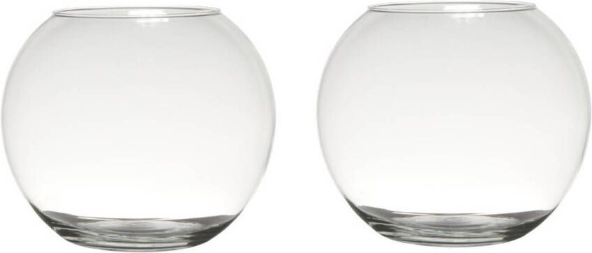 Merkloos Set van 2x stuks transparante ronde bol vissenkom vaas vazen van glas 23 x 30 cm Bloemen boeketten vaas voor binnen gebruik Vazen