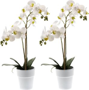Merkloos Set van 2x stuks witte orchidee kunstplanten in kunststof pot 65 cm Orchidaceae Woondecoratie accessoires Kunstplanten Nepplanten Orchidee planten in pot Kunstplanten