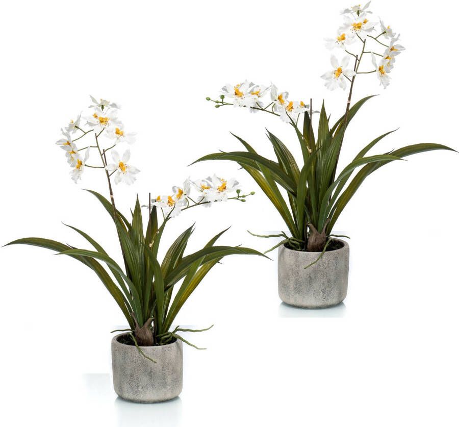 Merkloos Set van 2x stuks witte orchidee Orchidaceae kunstplanten in keramische pot 45 cm Kunstplanten