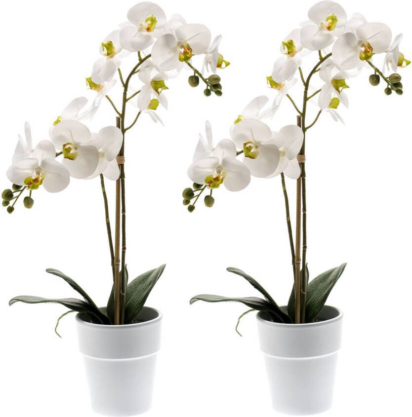 Merkloos Set van 2x stuks witte orchidee Orchidaceae kunstplanten in kunststof pot 65 cm Kunstplanten
