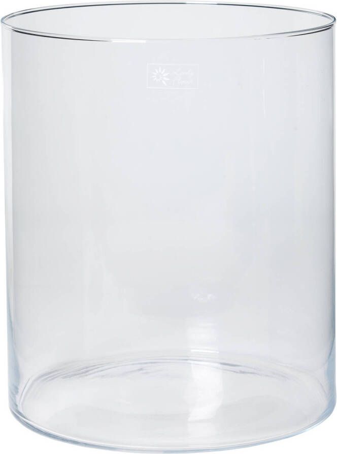 Merkloos Transparante home-basics Cilinder vaas vazen van glas 30 x 35 cm Bloemen boeketten binnen gebruik Vazen