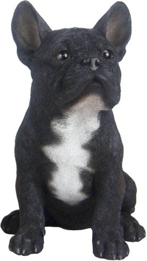 Merkloos Tuinbeeld zwarte Franse Bulldog 29 cm Beeldjes
