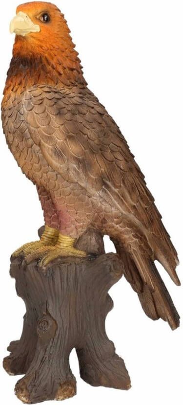 Merkloos Tuin huis beeldje Adelaar Arend roofvogel 40 cm Beeldjes