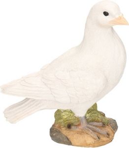 Merkloos Witte duif stenen beeld rechts 24 cm Beeldjes