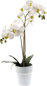 Merkloos Witte orchidee kunstplant in kunststof pot 65 cm Orchidaceae Woondecoratie accessoires Kunstplanten Nepplanten Orchidee planten in pot Kunstplanten