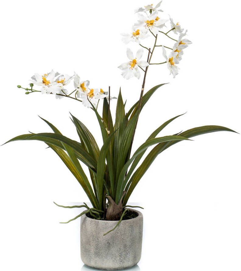 Trendoz Witte orchidee kunstplant in keramische pot 45 cm Orchidaceae Woondecoratie accessoires Kunstplanten Nepplanten Orchidee planten in pot Kunstplanten