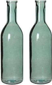 Mica Decorations 2x Glazen fles bloemenvaas grijs 50 x 15 cm sierflessen woondecoratie woonaccessoires 2 stuks Vazen