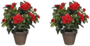 Mica Decorations 2x Groene Azalea Kunstplanten Rode Bloemen 27 Cm In Pot Kunstplanten