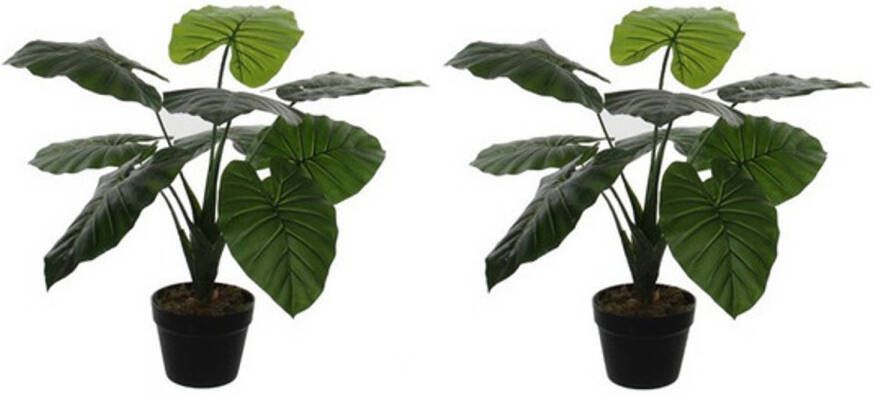 Mica Decorations 2x Groene Colocasia Taro kunstplanten in zwarte pot 60 cm Kunstplanten