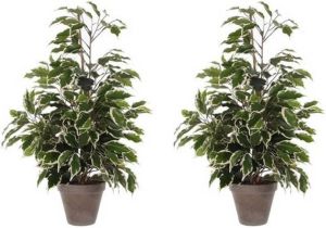 Mica Decorations 2x Groen witte Tropische Ficus Kunstplanten 65 Cm Voor Binnen Kunstplanten