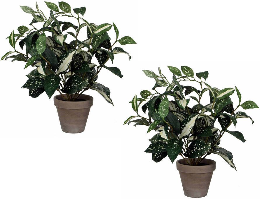 Mica Decorations 2x stuks cordyline kunstplanten kamerplanten groen in grijze sierpot H33 cm x D25 cm Kunstplanten
