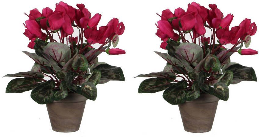 Mica Decorations 2x stuks cyclaam kunstplanten donker roze in keramieken pot H30 x D30 cm Kunstplanten nepplanten met bloemen Kunstplanten