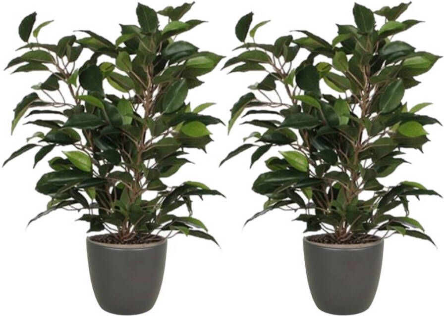 Mica Decorations 2x stuks groene ficus kunstplant 40 cm met plantenpot mat antraciet grijs D13.5 en H12.5 cm Kunstplanten