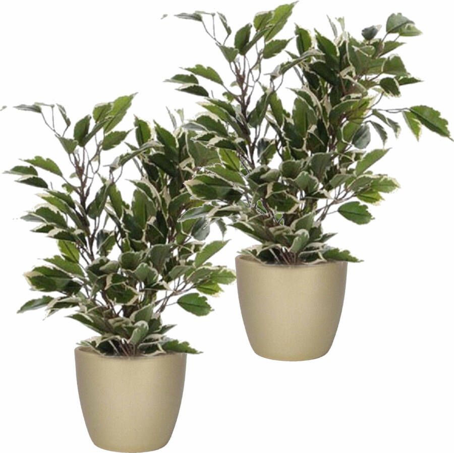 Mica Decorations 2x stuks groen witte ficus kunstplanten 40 cm met plantenpot parelgoud D13.5 en H12.5 cm Kunstplanten