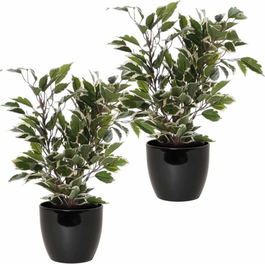Mica Decorations 2x stuks groen witte ficus kunstplanten 40 cm met plantenpot zwart D13.5 en H12.5 cm Kunstplanten