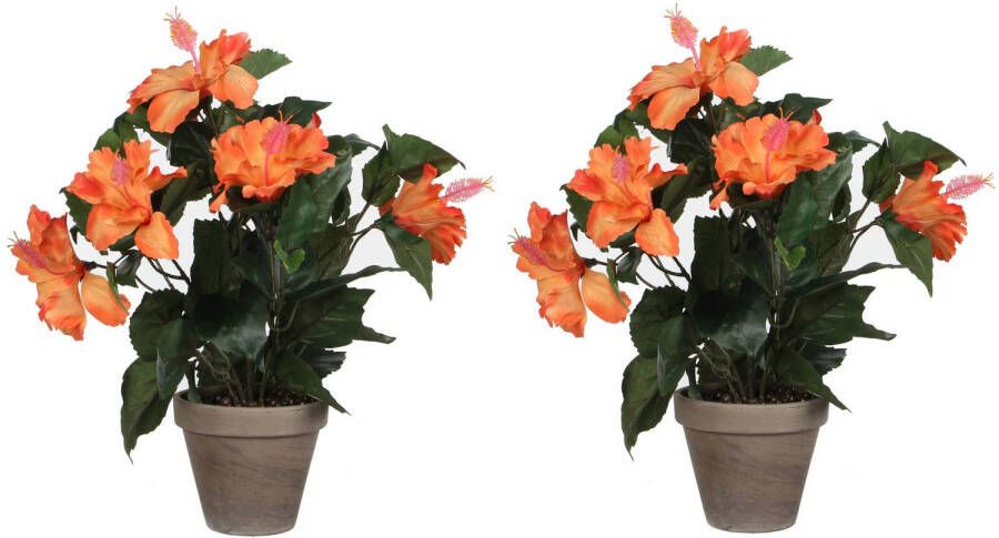 Mica Decorations 2x stuks hibiscus kunstplanten oranje in grijze pot H40 x D30 cm Kunstplanten