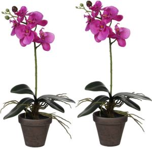 Mica Decorations 2x stuks phalaenopsis Orchidee kunstplanten paars in grijze pot H48 x D13 cm Kunstplanten