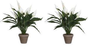 Mica Decorations 2x stuks spathiphyllum lepelplant kunstplanten wit in keramieken pot H50 x D40 cm Kunstplanten