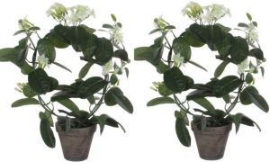 Mica Decorations 2x stuks stephanotis bruidsbloem kunstplanten wit in grijze sierpot H50 cm x D40 cm Kunstplanten