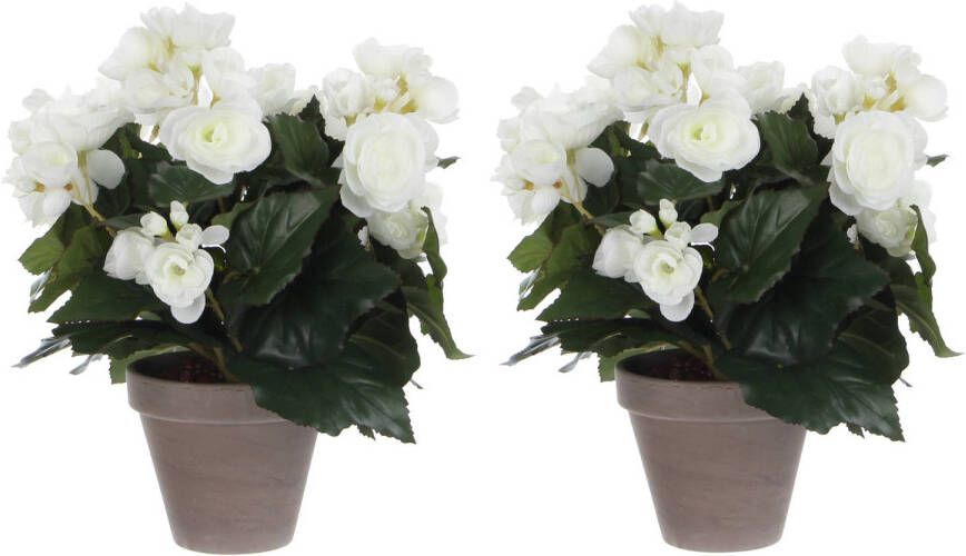 Mica Decorations 2x stuks witte Begonia kunstplant 30 cm in grijze pot Kunstplanten