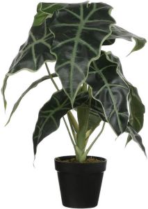 Mica Decorations Alocasia kunstplant groen in pot H50 cm Kunstplanten nepplanten Kunstplanten