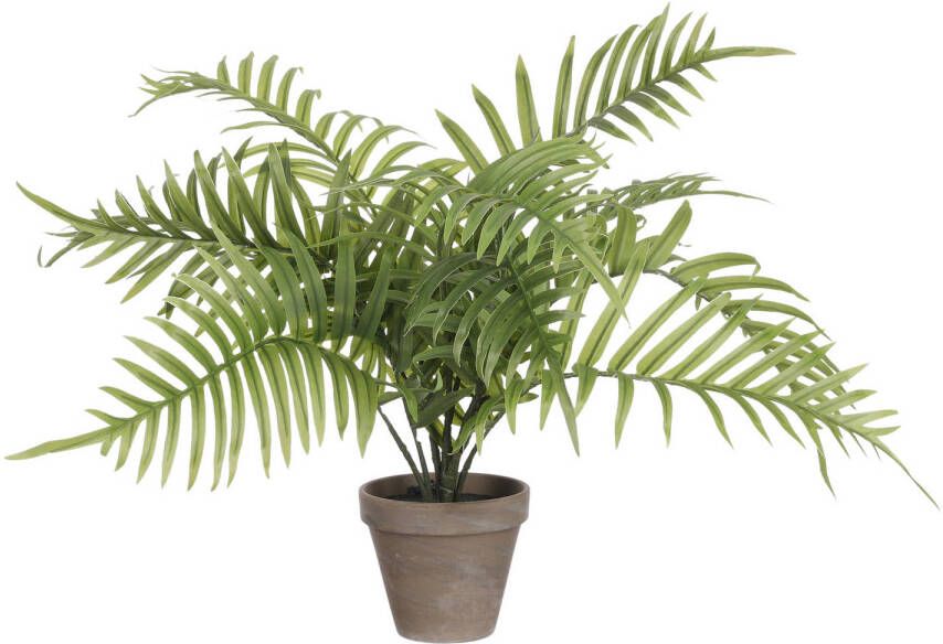 Mica Decorations Palm kunstplant struik groen H53 x D45 cm Kunstplanten