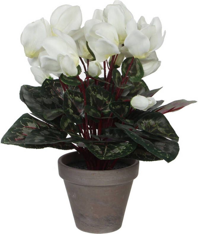 Mica Decorations Cyclaam kunstplant wit in keramieken pot H30 x D30 cm Kunstplanten nepplanten met bloemen Kunstplanten