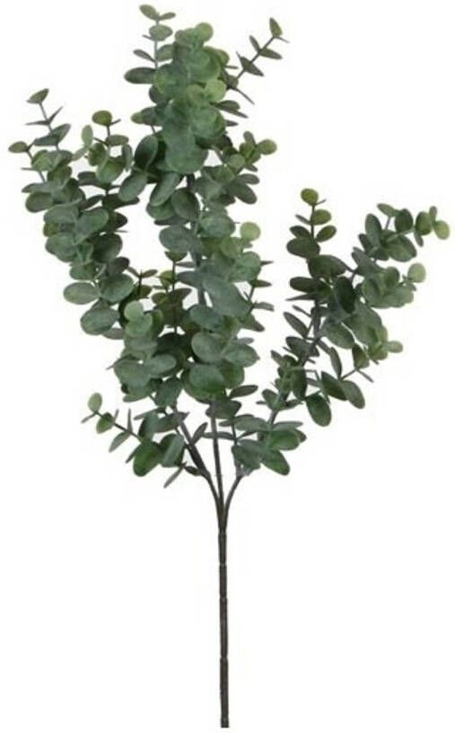 Mica Decorations Grijs groene Eucalyptus kunsttak kunstplant 65 cm Kunstplanten kunsttakken Kunstbloemen boeketten Kunstbloemen