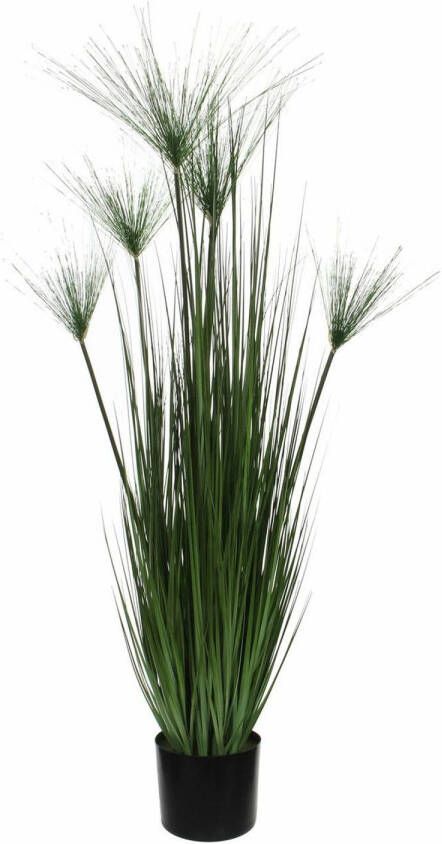 Mica Decorations Kunstgras gras kunstplant met papyrus pluimen groen H127 x D17 cm op stevige plug Kunstplanten