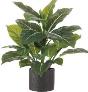Mica Decorations Groene Philodendron Kunstplant 49 Cm In Bloempot Antraciet Dia 15 Cm Kunstplanten