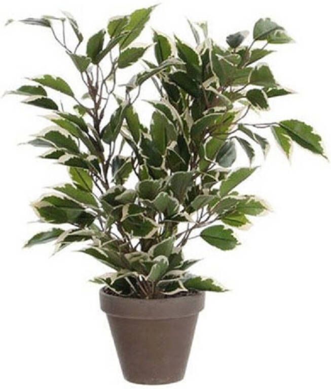 Shoppartners Groen witte ficus kunstplant 40 cm voor binnen kunstplanten nepplanten binnenplanten.