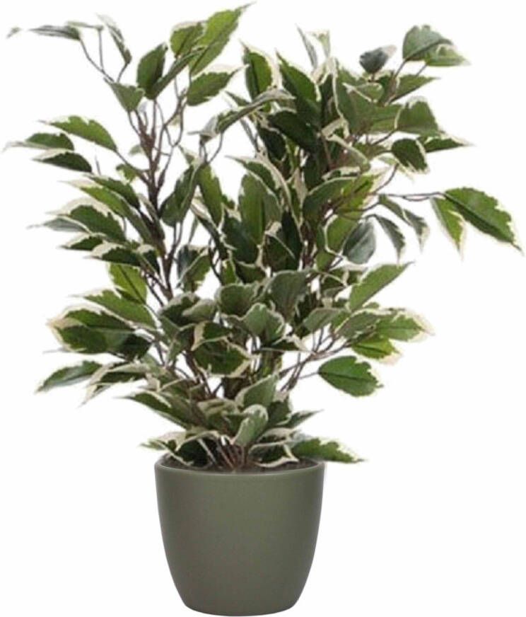 Mica Decorations Groen witte ficus kunstplant 40 cm met plantenpot dennengroen D13.5 en H12.5 cm Kunstplanten