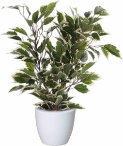 Mica Decorations Groen witte ficus kunstplant 40 cm met plantenpot glanzend wit D13.5 en H12.5 cm Kunstplanten