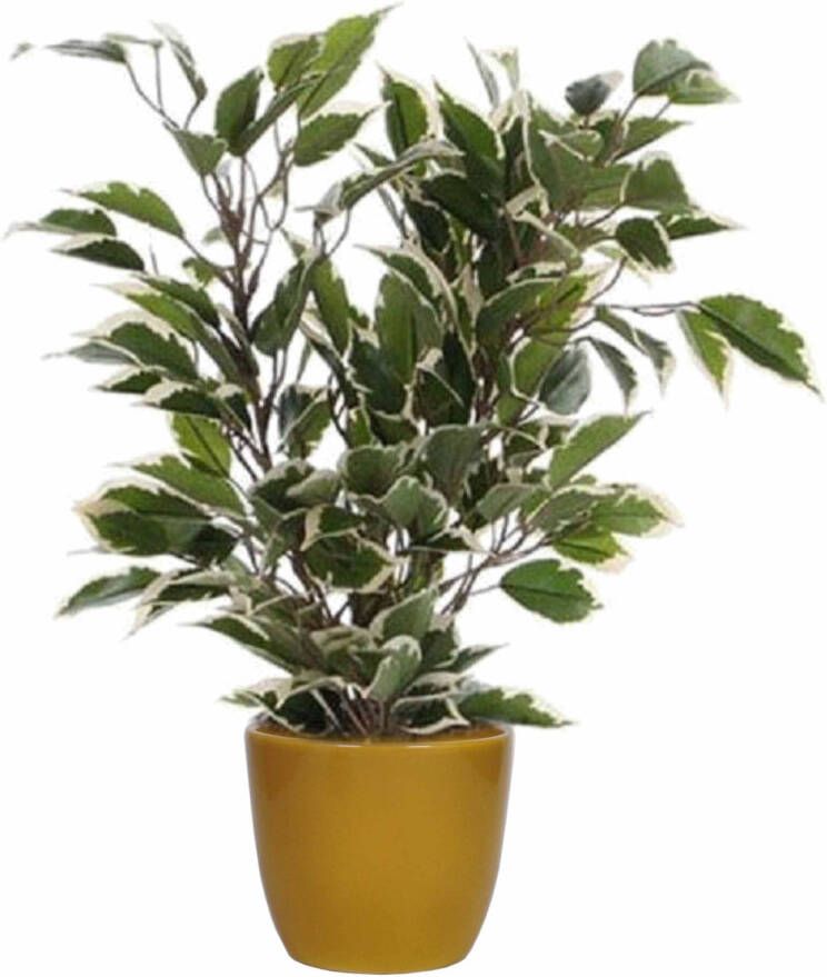 Mica Decorations Groen witte ficus kunstplant 40 cm met plantenpot okergeel D13.5 en H12.5 cm Kunstplanten