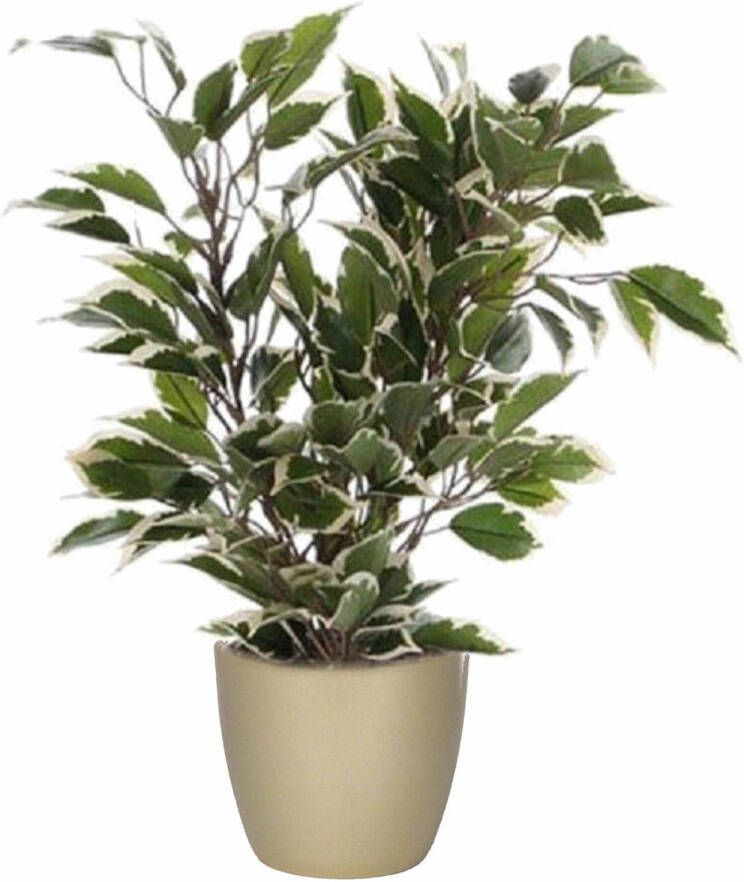 Mica Decorations Groen witte ficus kunstplant 40 cm met plantenpot parelgoud D13.5 en H12.5 cm Kunstplanten