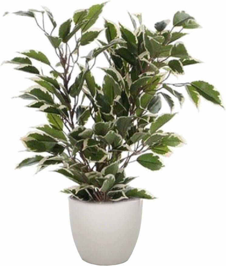 Mica Decorations Groen witte ficus kunstplant 40 cm met plantenpot taupe D13.5 en H12.5 cm Kunstplanten