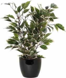 Mica Decorations Groen witte ficus kunstplant 40 cm met plantenpot zwart D13.5 en H12.5 cm Kunstplanten
