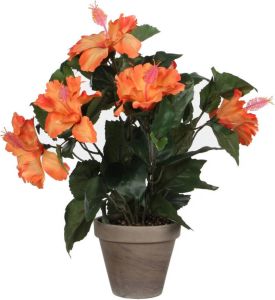 Mica Decorations Hibiscus kunstplant oranje in keramieken pot H40 x D30 cm Kunstplanten nepplanten met bloemen Kunstplanten
