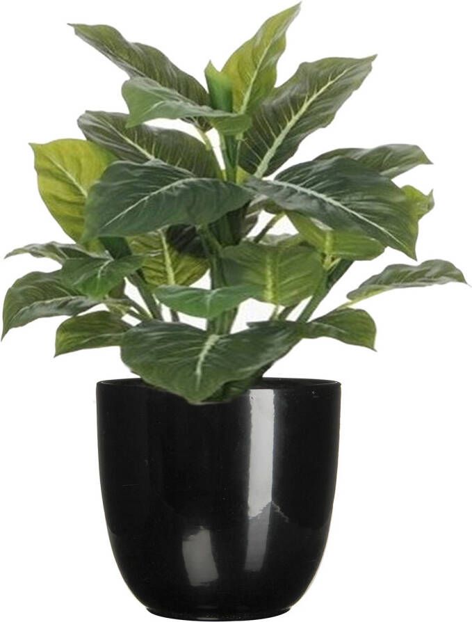 Mica Decorations Groene Philodendron kunstplant 49 cm in bloempot zwart Dia 14.5 cm Kunstplanten