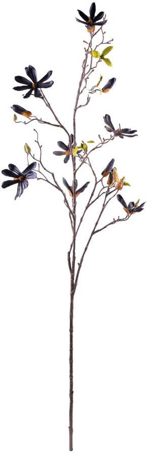 Mica Decorations Kunstbloem magnolia zwart 110cm