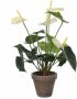 Mica Decorations Witte Anthurium kunstplant 27 cm in grijze plastic pot Kunstplanten nepplanten Kunstplanten - Thumbnail 1