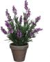 Mica Decorations Lavendel kunstplant kamerplant paars in grijze sierpot H33 cm x D20 cm Kunstplanten nepplanten Kunstplanten - Thumbnail 1