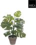 Mica Decorations Groene Monstera gatenplant kunstplant 48 cm in grijze pot Kunstplanten nepplanten Kunstplanten - Thumbnail 1