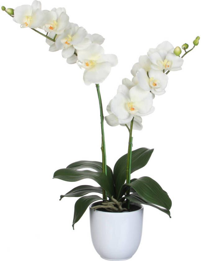 Mica Decorations Orchidee bloem kunstplant parel wit H66 x B38 cm  Kunstplanten