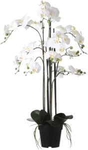 Mica Decorations Orchidee bloem kunstplant parel wit H97 x B19 cm  Kunstplanten