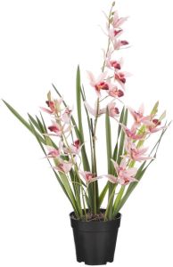 Mica Decorations Orchidee bloem kunstplant perzik roze H66 x B34 cm  Kunstplanten