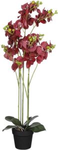 Mica Decorations Orchidee bloem kunstplant rood H90 x B30 cm  Kunstplanten
