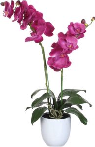 Mica Decorations Orchidee bloem kunstplant roze H66 x B38 cm  Kunstplanten