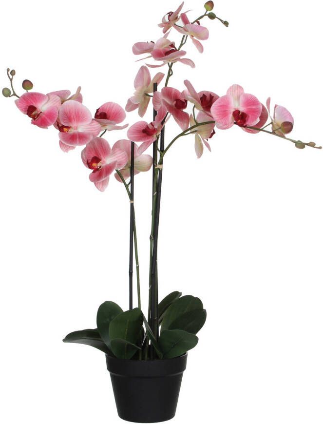 Mica Decorations Orchidee bloem kunstplant roze H75 x B50 cmA  Kunstplanten
