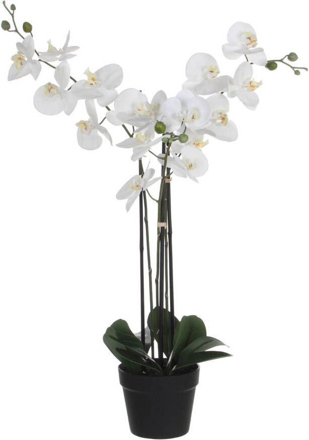 Mica Decorations Orchidee bloem kunstplant wit H75 x B50 cm  Kunstplanten